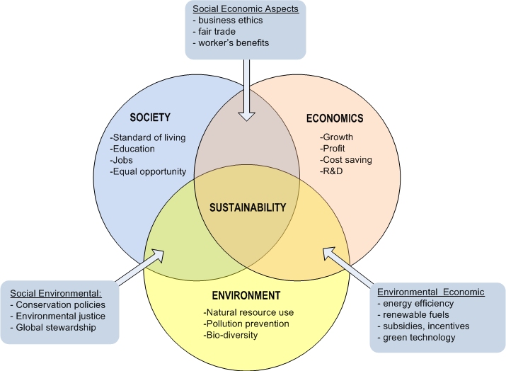 Interplay of the environmental, economic, and social aspects of sustainable development.